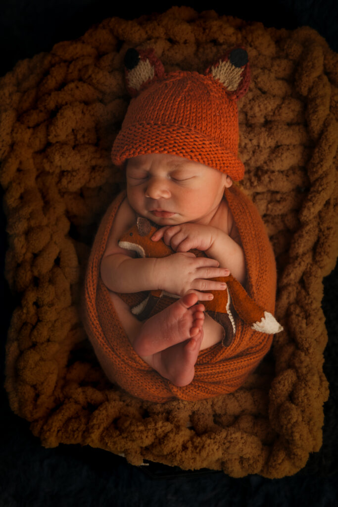 Newborn baby boy with fox outfit