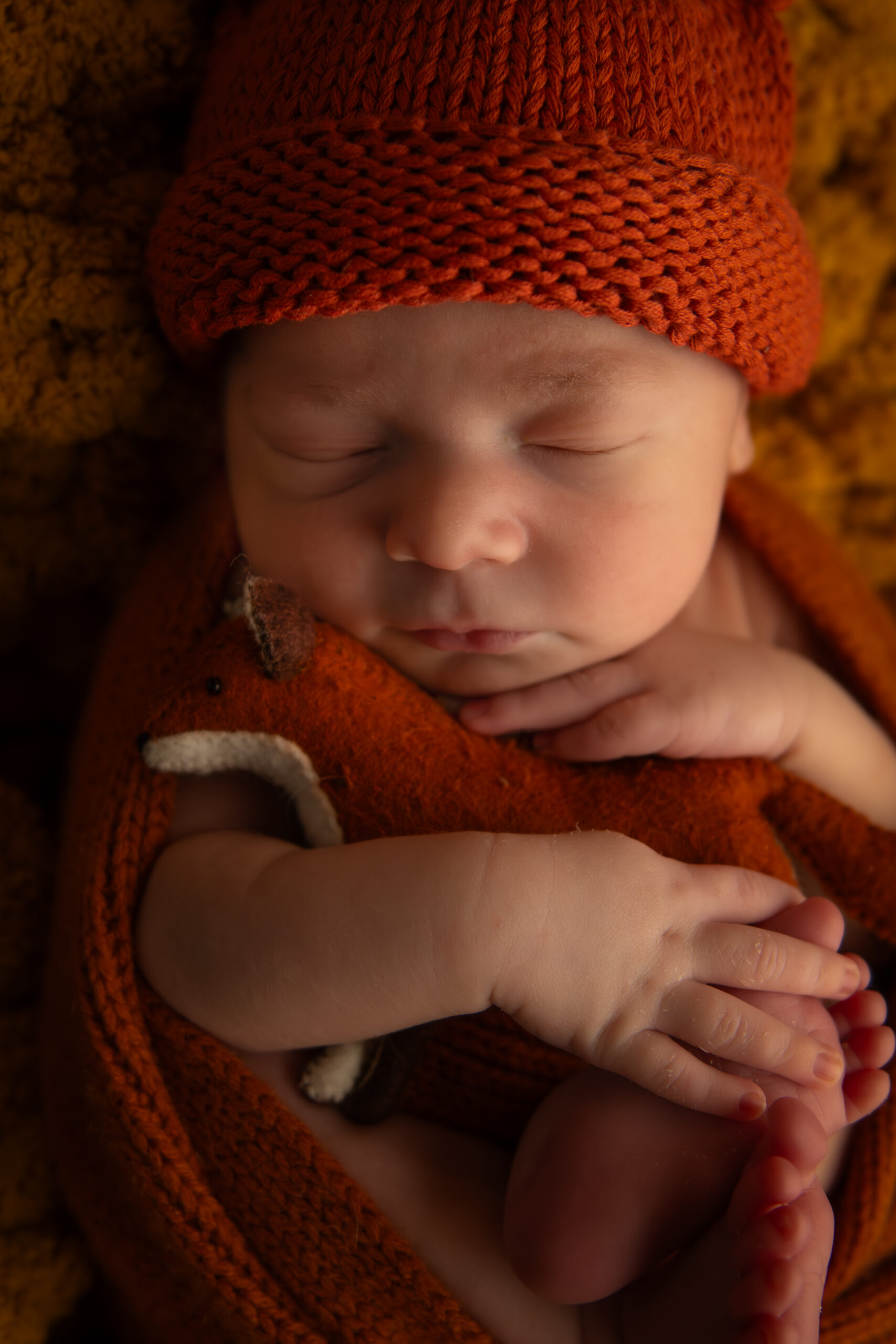 newborn boy in fox outfit holding stuffed fox toy